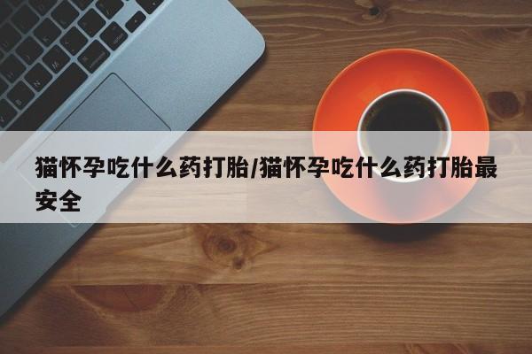 打胎药私人店购买微信猫怀孕吃什么药打胎/猫怀孕吃什么药打胎最安全