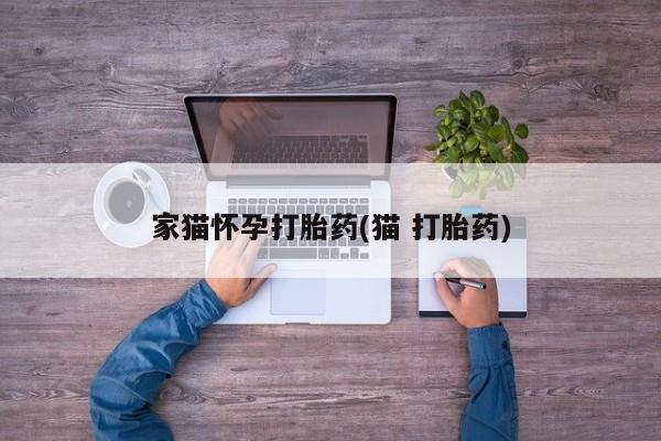 打胎药私人店购买微信家猫怀孕打胎药(猫 打胎药)